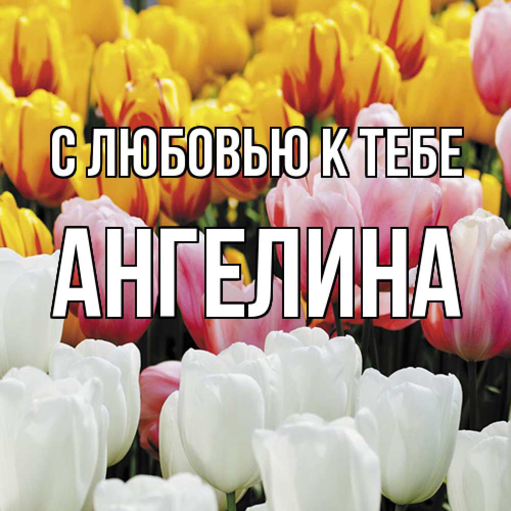 Открытка  с именем. Ангелина, С любовью к тебе  