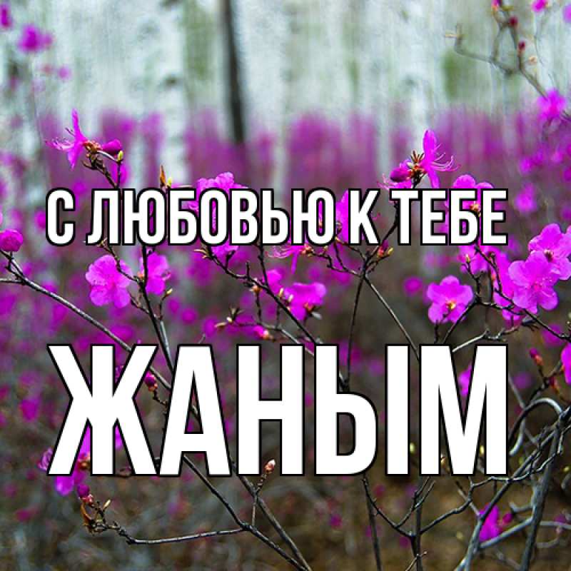 Картинка С любовью к тебе, Жаным