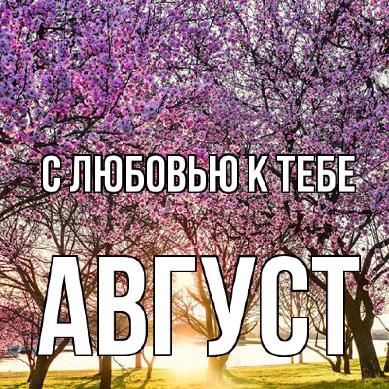 Картинка С любовью к тебе, Август