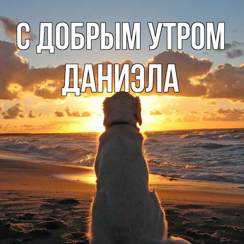 Картинка С добрым утром, Даниэла