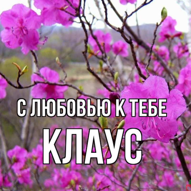 Картинка С любовью к тебе, Клаус