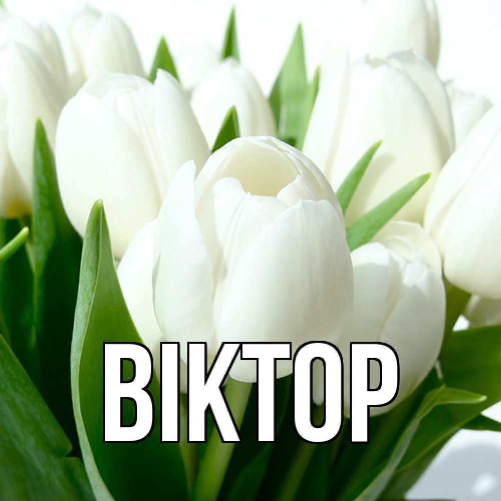 Открытка  с именем. Віктор, Главная  