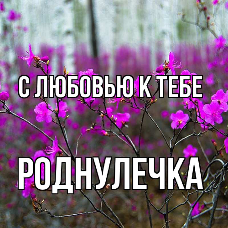 Картинка С любовью к тебе, Роднулечка