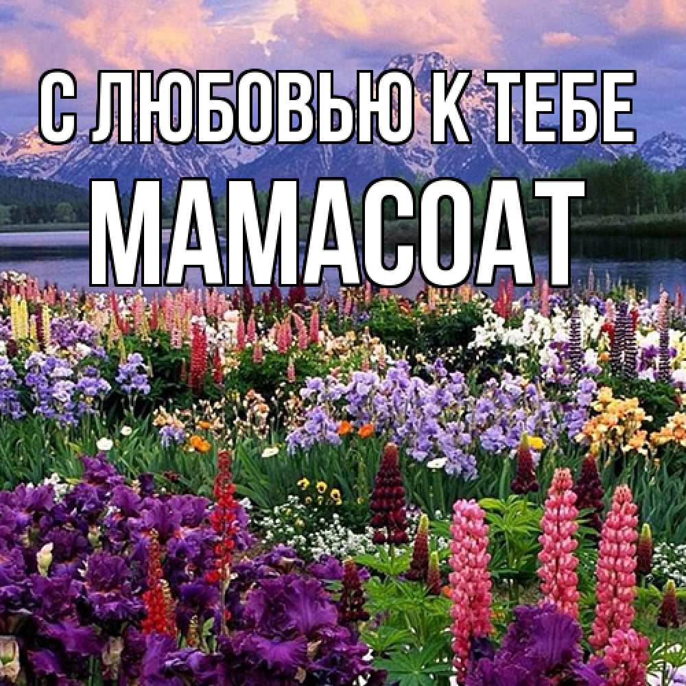 Открытка  с именем. Мамасоат, С любовью к тебе  