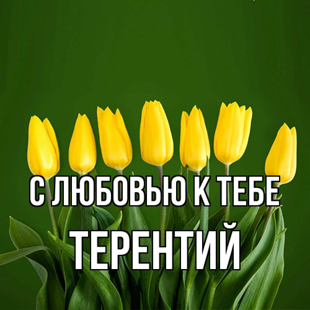 Открытка  с именем. Терентий, С любовью к тебе  