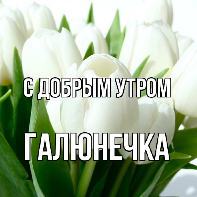 Картинка С добрым утром, Галюнечка