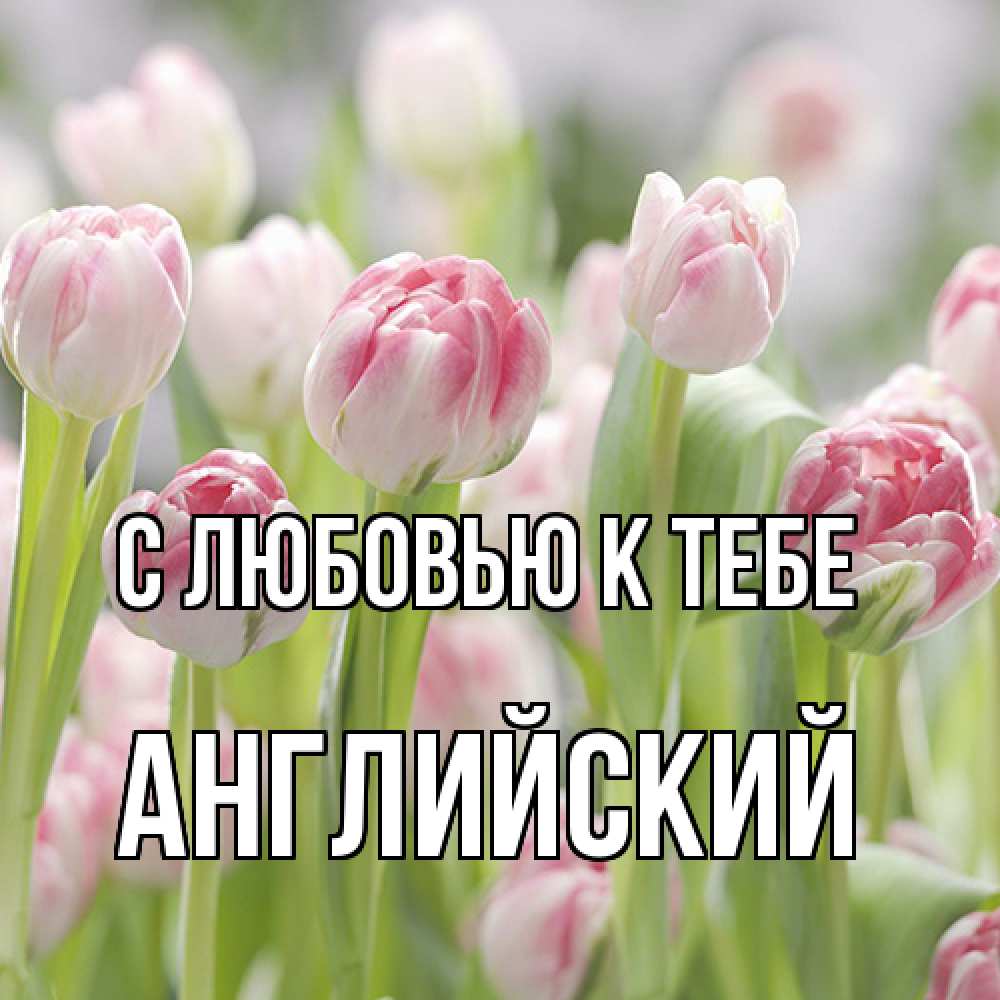 Открытка  с именем. Английский, С любовью к тебе  