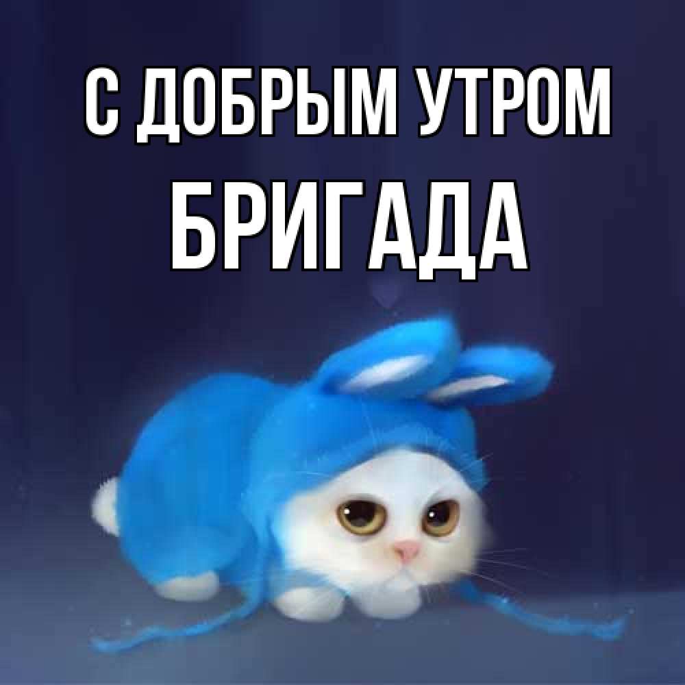 Открытка  с именем. Бригада, С добрым утром  