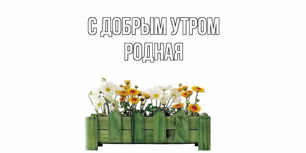 Открытка  с именем. Родная, С добрым утром  