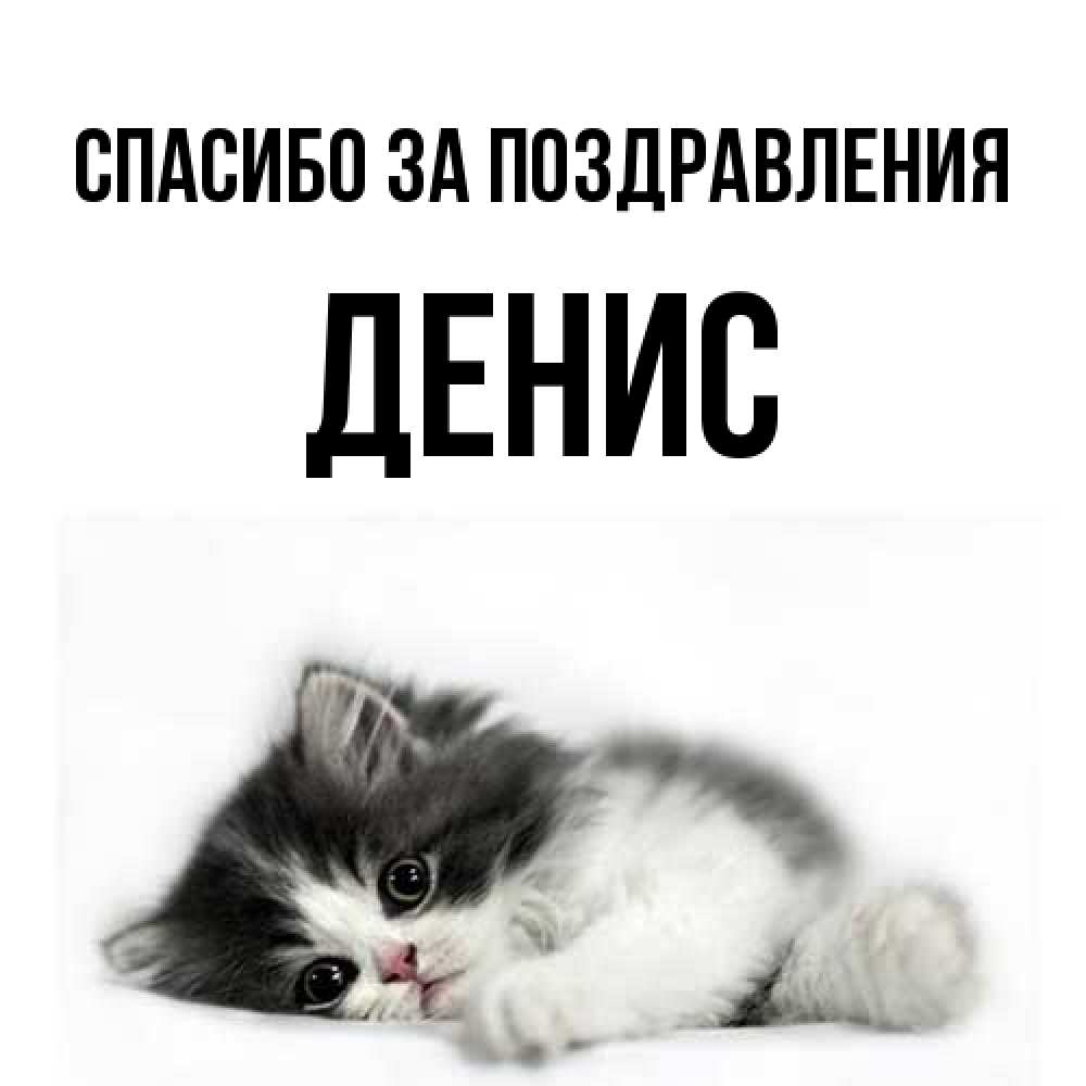 Открытка  с именем. Денис, Спасибо за поздравления  