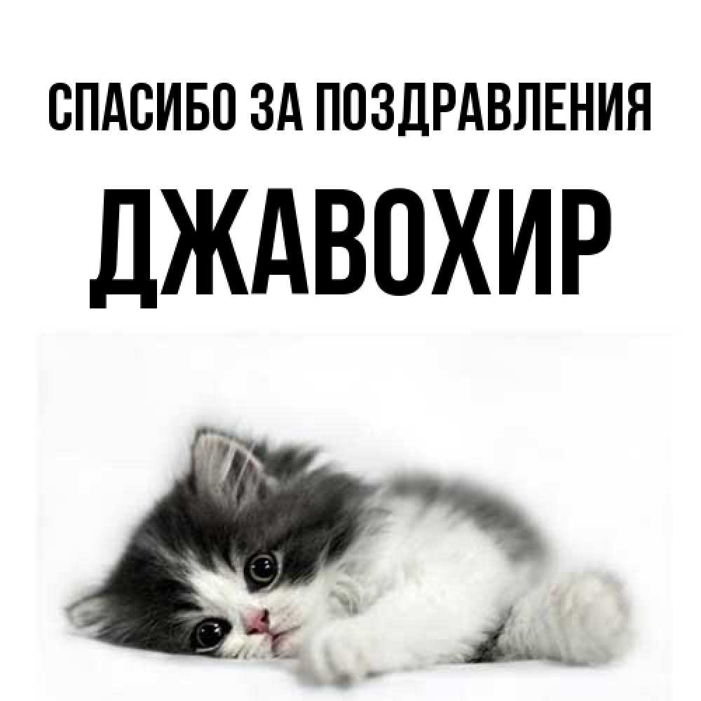 Открытка  с именем. Джавохир, Спасибо за поздравления  