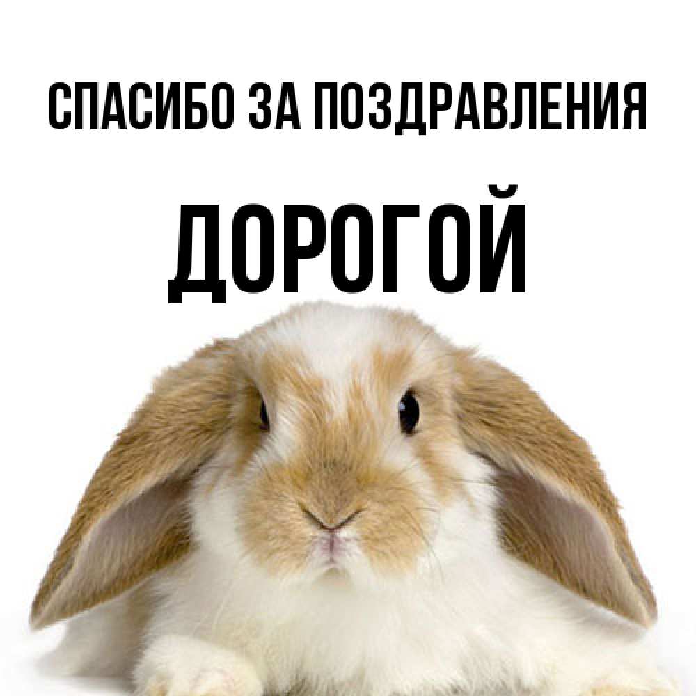 Открытка  с именем. Дорогой, Спасибо за поздравления  