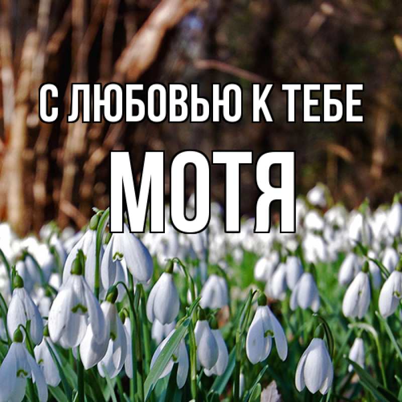 Картинка С любовью к тебе, Мотя