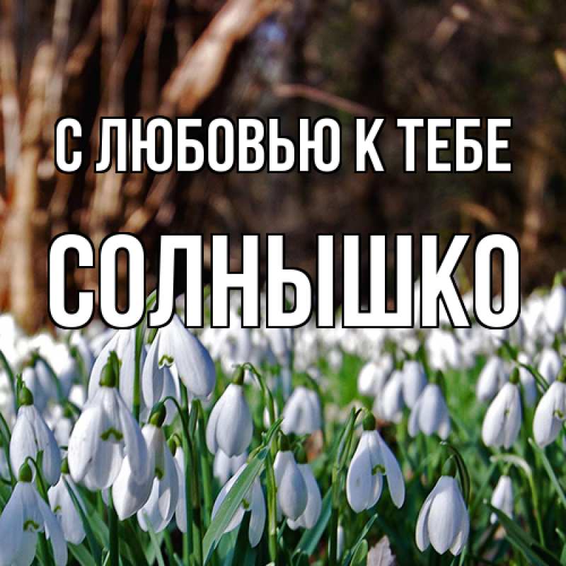 Картинка С любовью к тебе, Солнышко