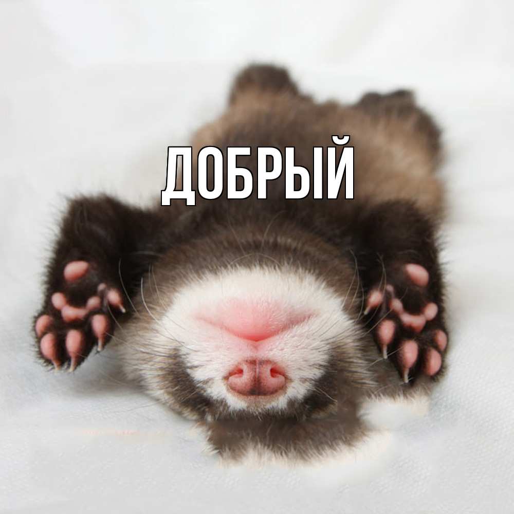 Открытка  с именем. Добрый, Главная  