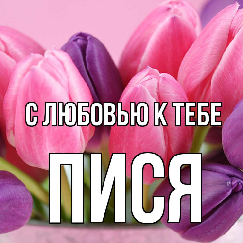 Открытка  с именем. пися, С любовью к тебе  