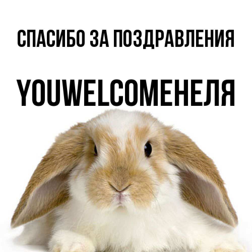 Открытка  с именем. YOUWELCOMEНЕЛЯ, Спасибо за поздравления  