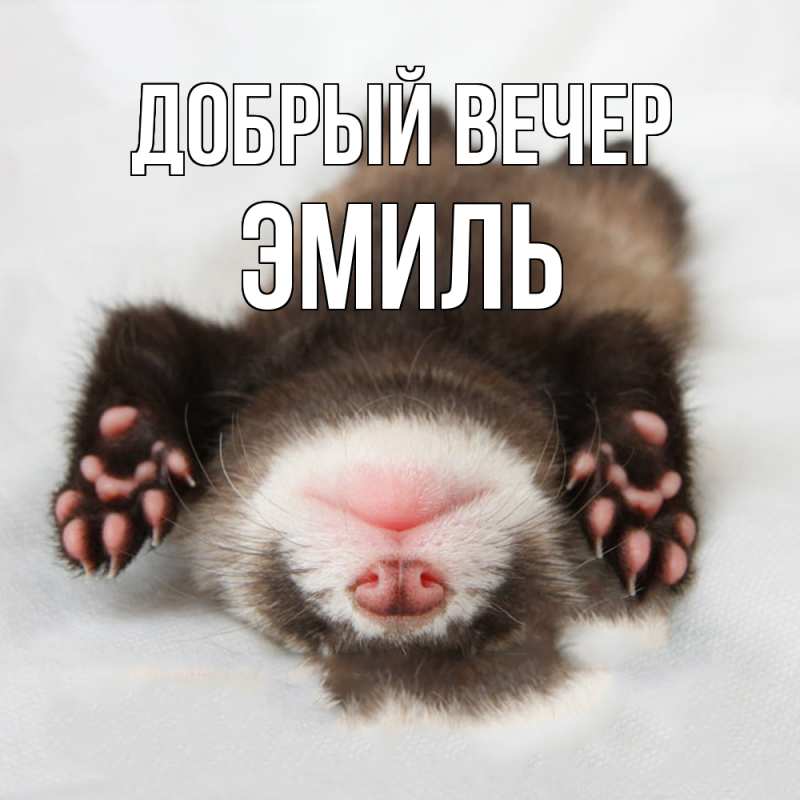 Картинка Добрый вечер, Эмиль