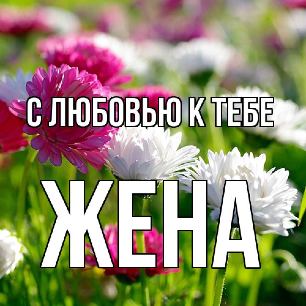 Открытка  с именем. Жена, С любовью к тебе  