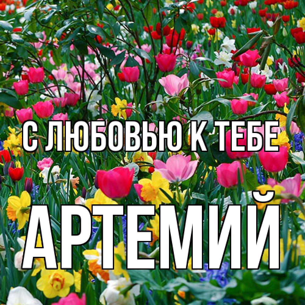 Открытка  с именем. Артемий, С любовью к тебе  