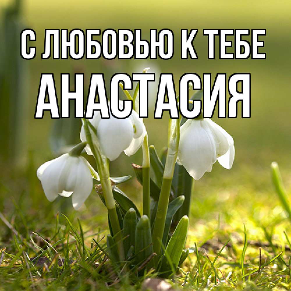 Открытка  с именем. Анастасия, С любовью к тебе  