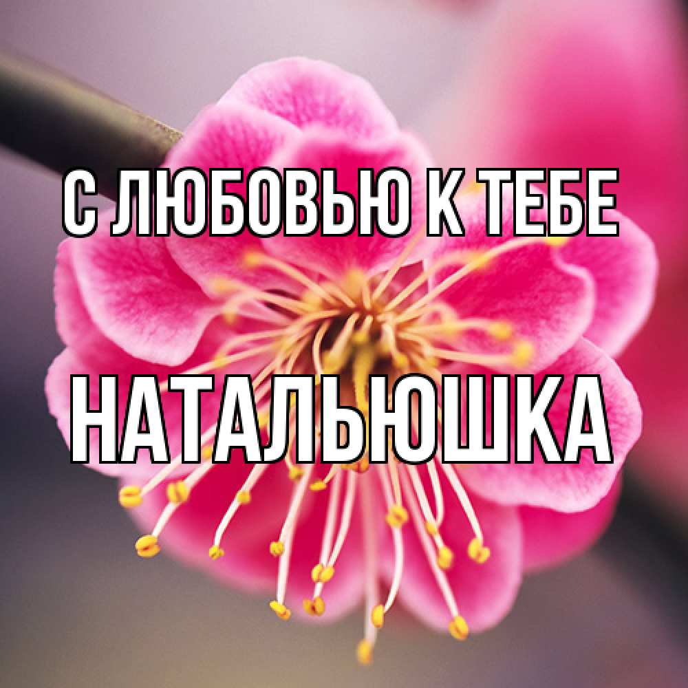 Открытка  с именем. Натальюшка, С любовью к тебе  