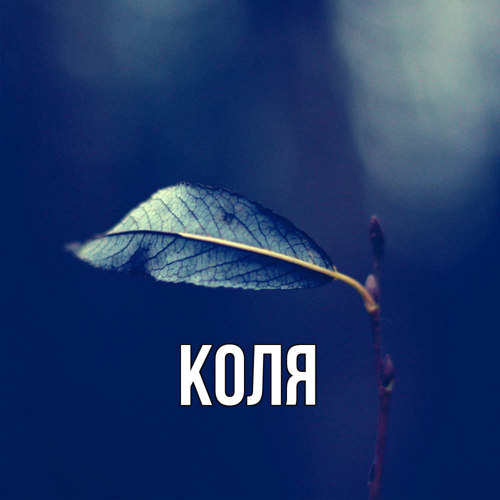 Открытка  с именем. коля, Главная  