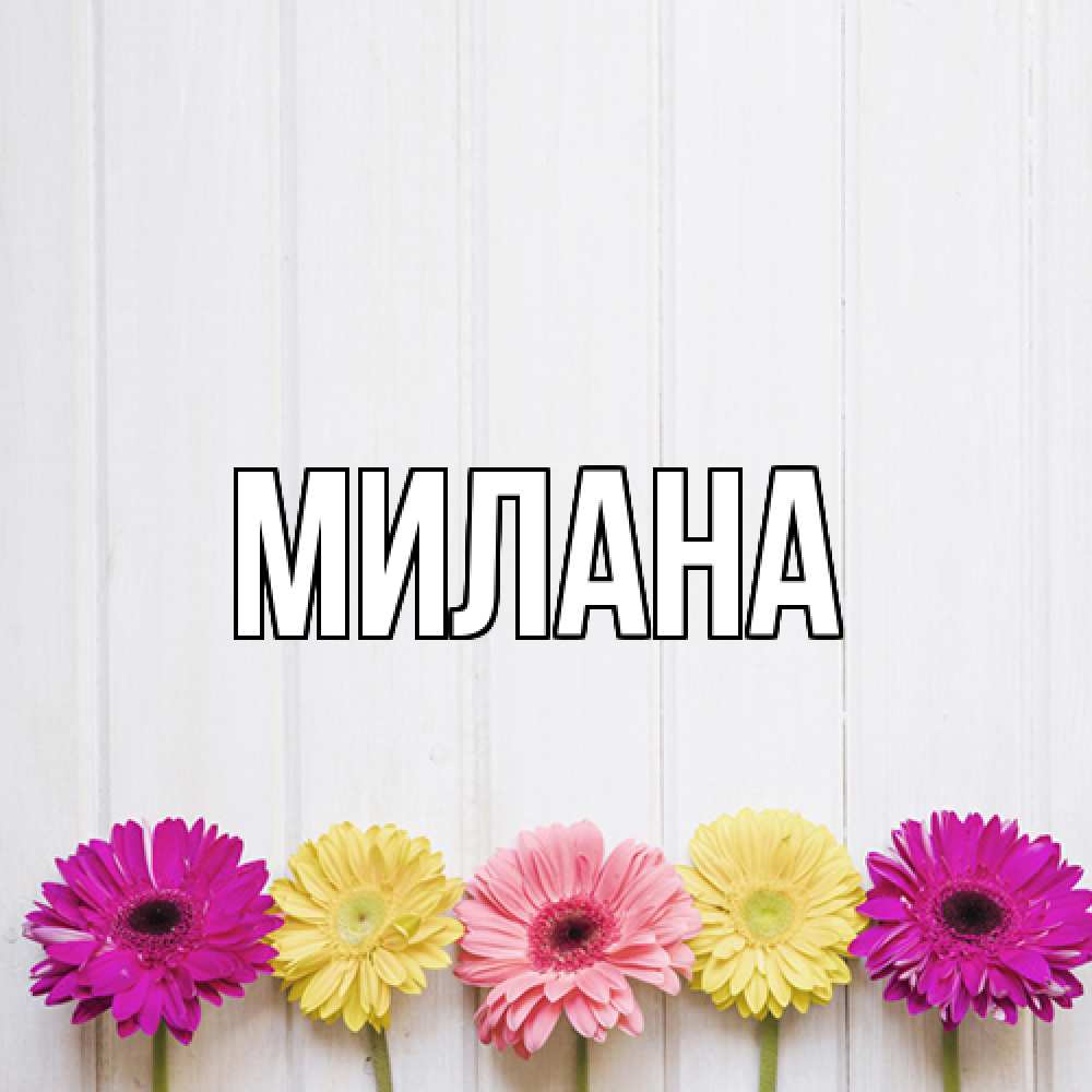 Открытка  с именем. Милана, Главная  