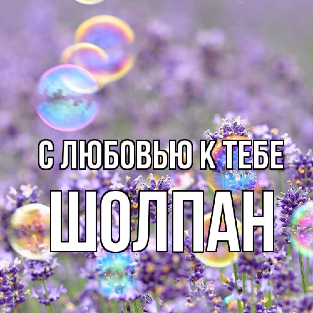 Открытка  с именем. Шолпан, С любовью к тебе  