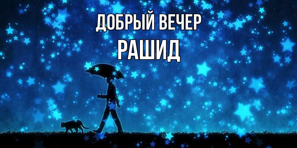 Открытка  с именем. Рашид, Добрый вечер  