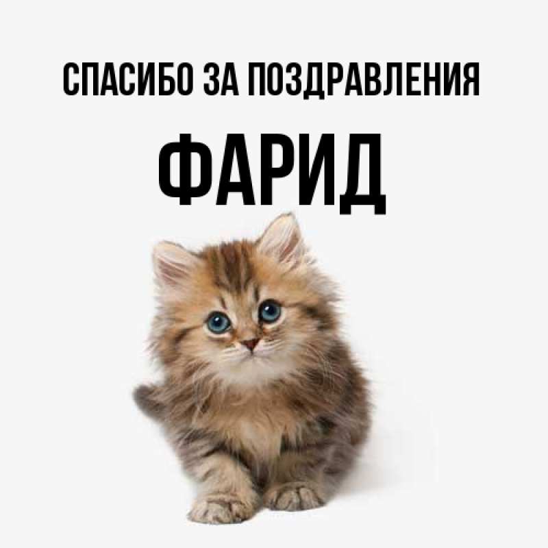 Картинка Спасибо за поздравления, Фарид