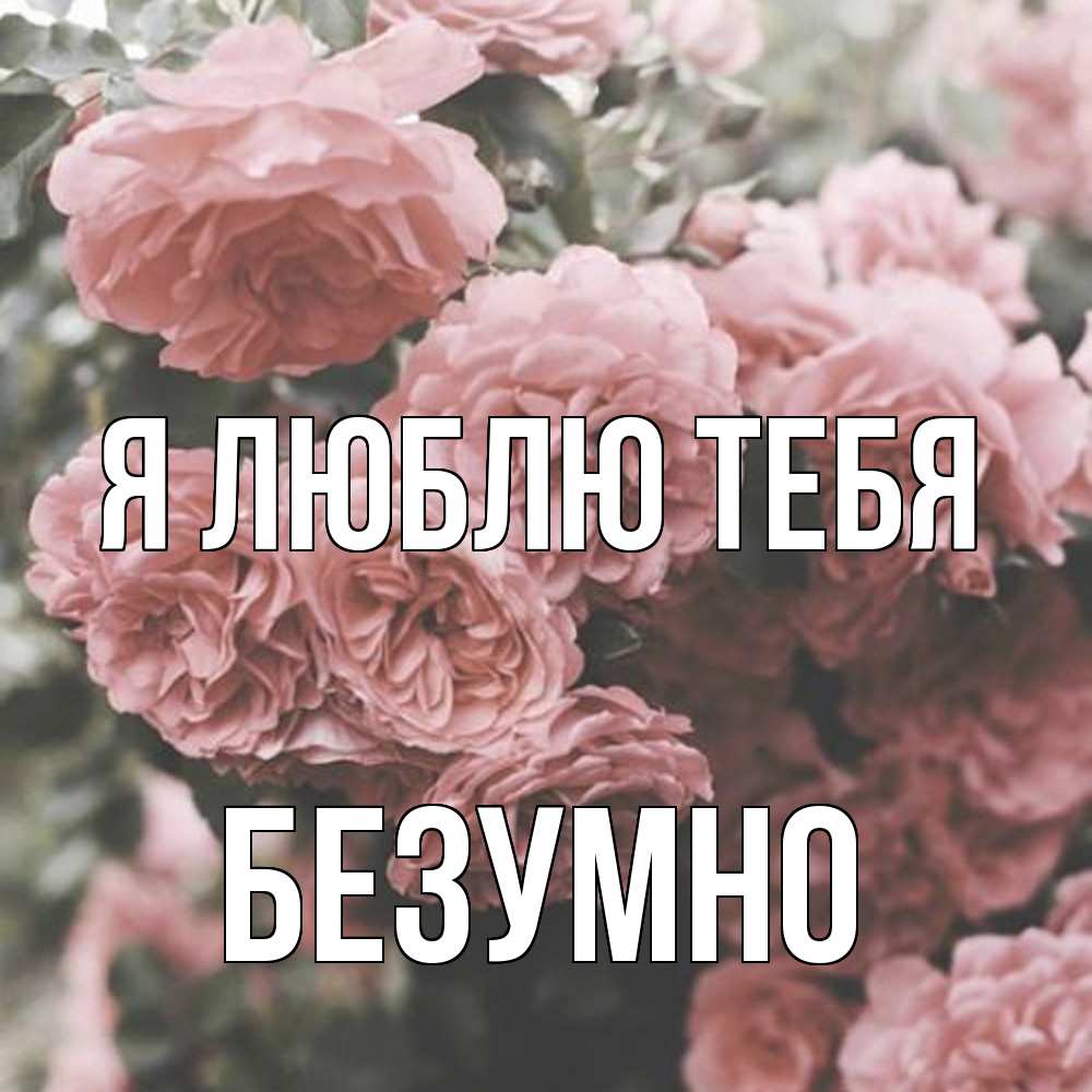 Открытка  с именем. безумно, Я люблю тебя  