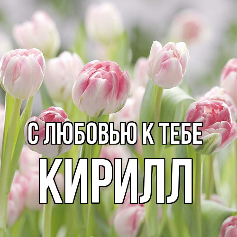 Открытка  с именем. Кирилл, С любовью к тебе  