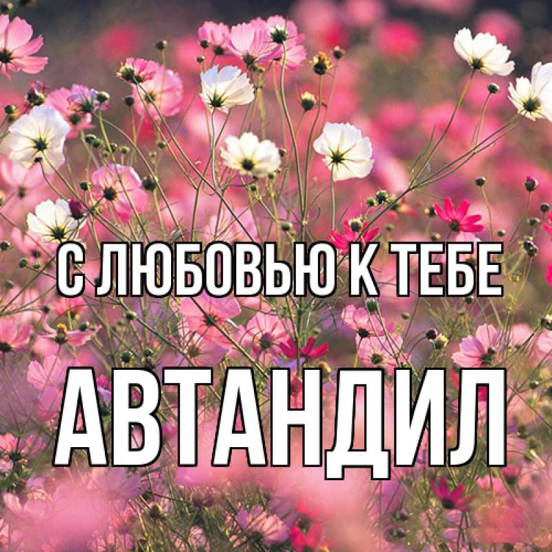 Картинка С любовью к тебе, Автандил