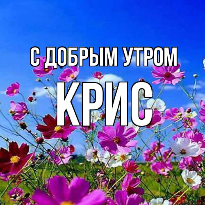 Картинка С добрым утром, Крис