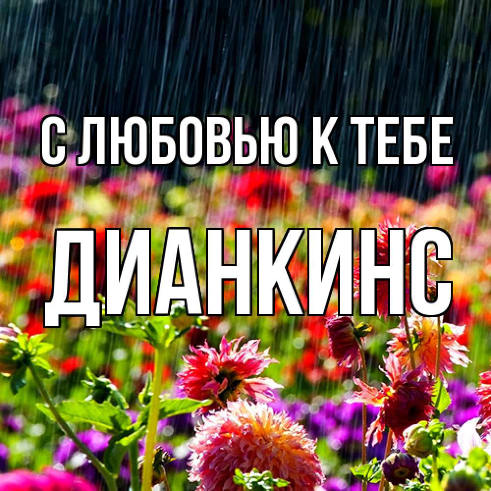 Открытка  с именем. Дианкинс, С любовью к тебе  