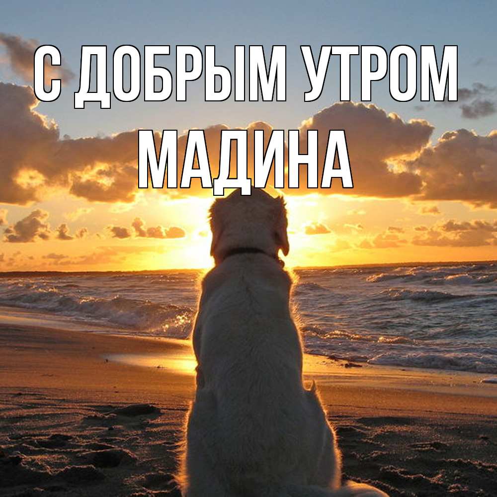 Открытка  с именем. Мадина, С добрым утром  