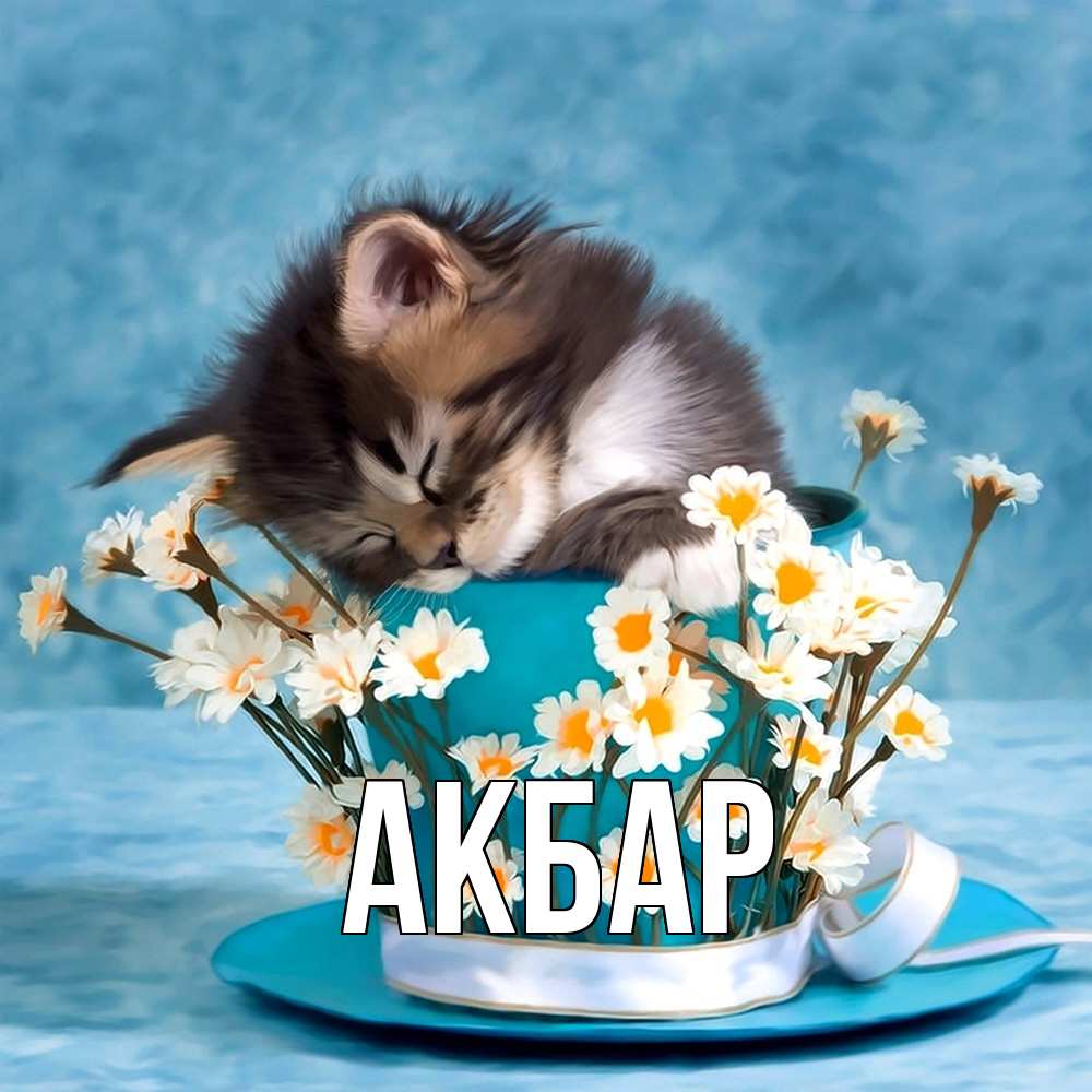 Открытка  с именем. Акбар, Главная  