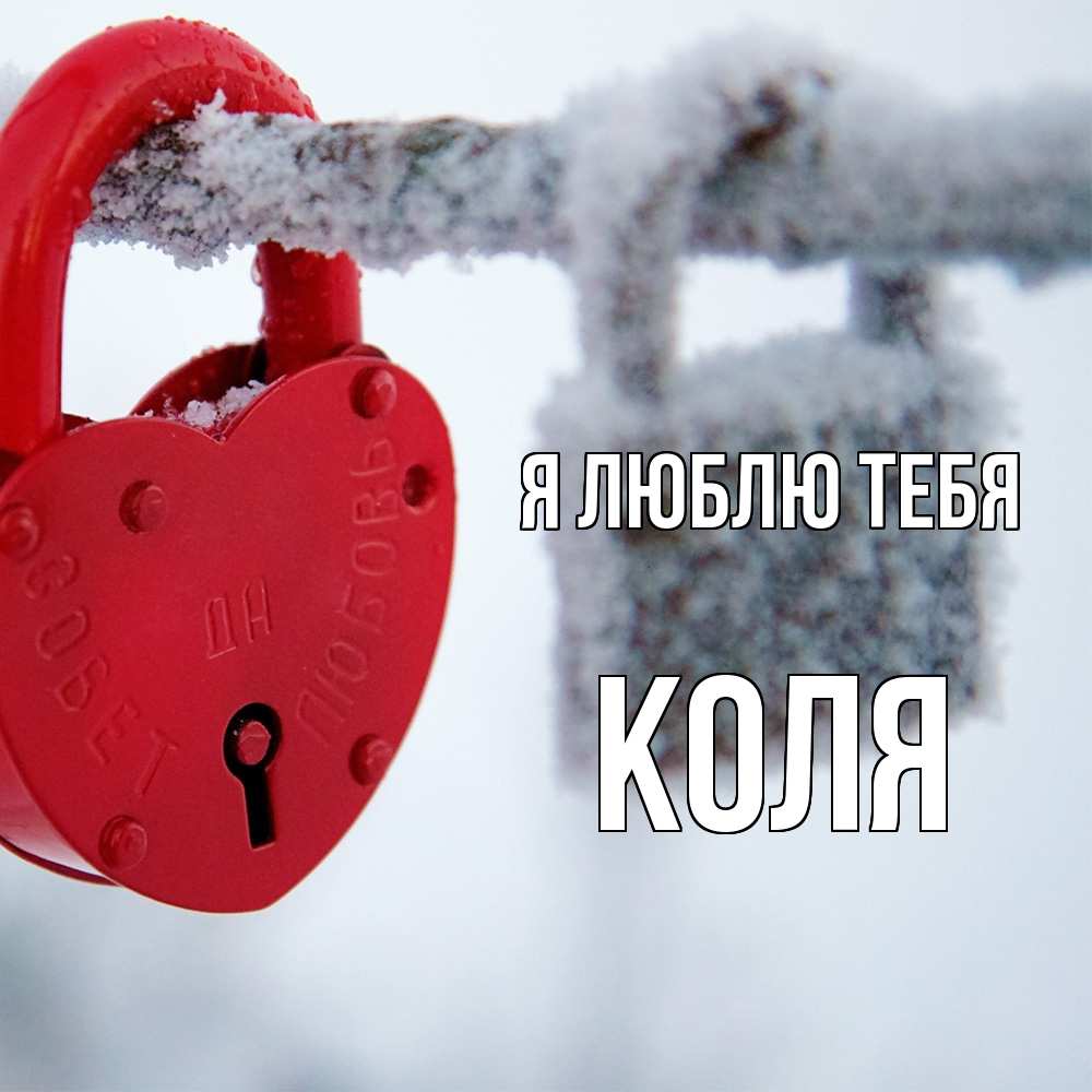 Открытка  с именем. Коля, Я люблю тебя  