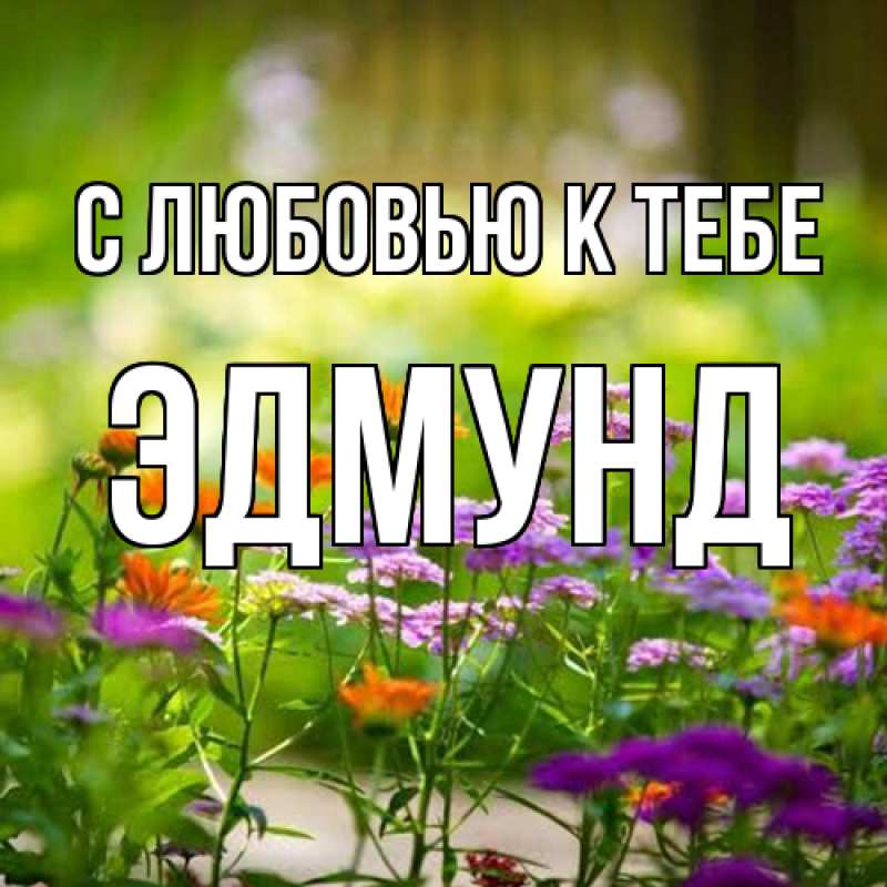 Картинка С любовью к тебе, Эдмунд