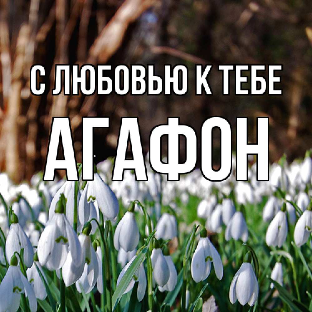 Открытка  с именем. Агафон, С любовью к тебе  