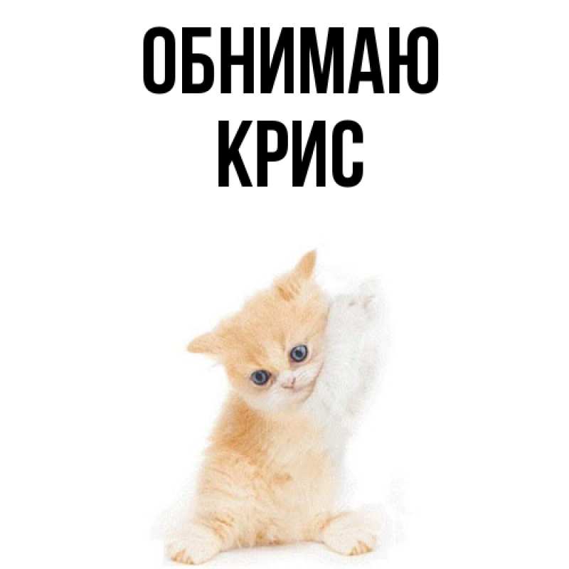 Картинка Обнимаю, Крис