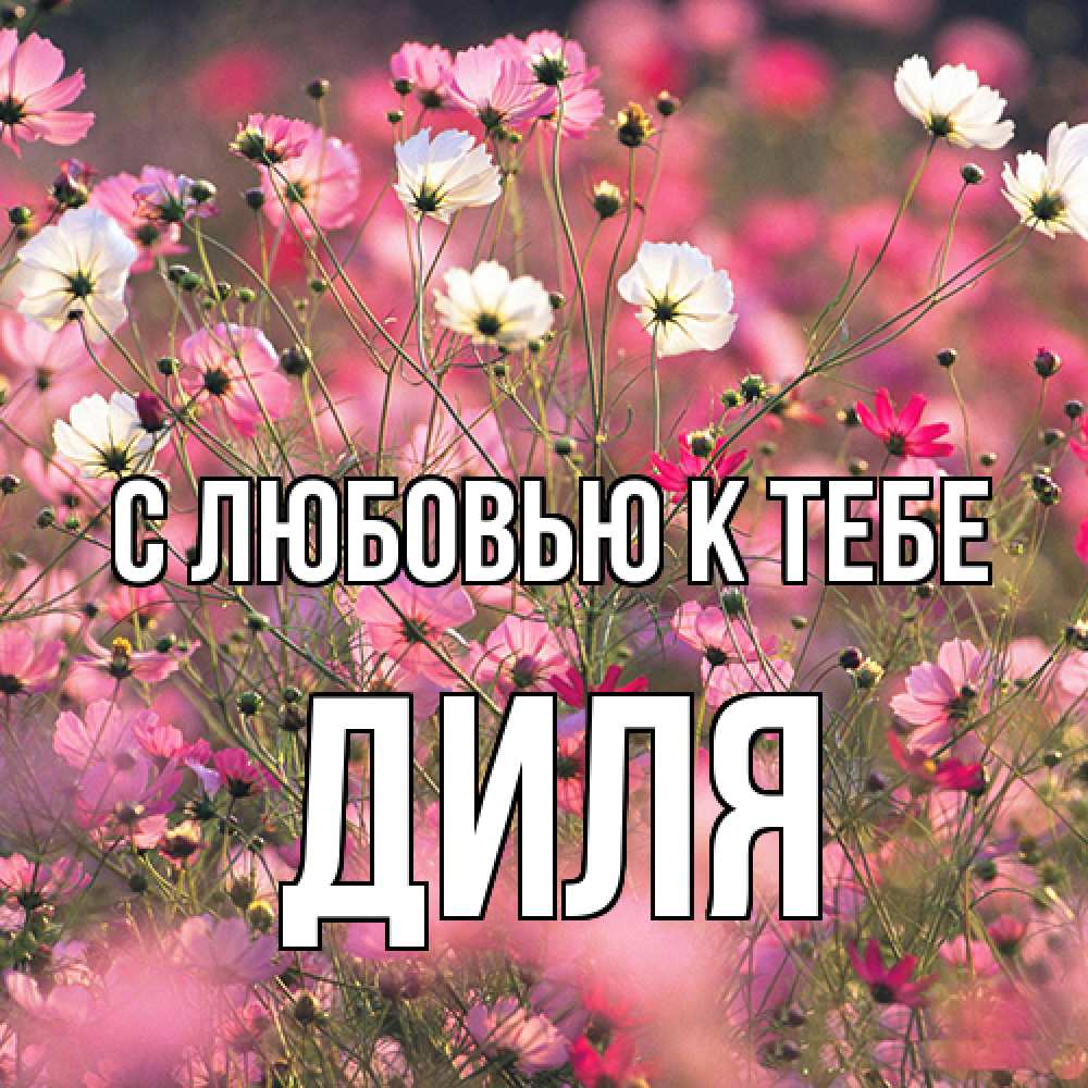Открытка  с именем. Диля, С любовью к тебе  