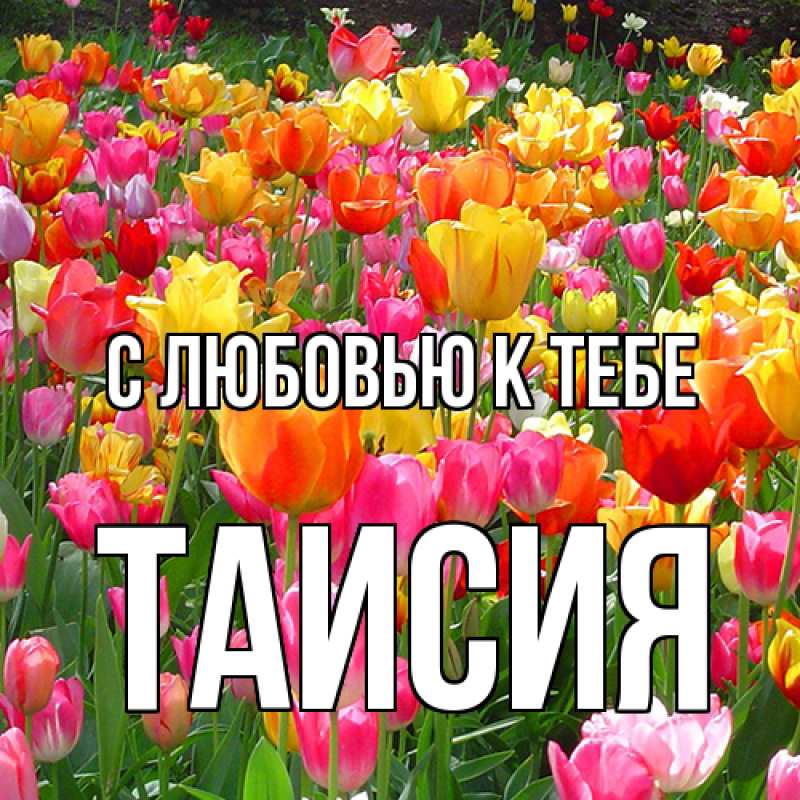 Картинка С любовью к тебе, Таисия