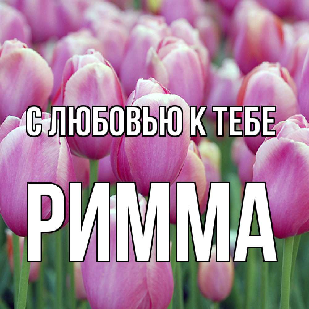 Открытка  с именем. Римма, С любовью к тебе  