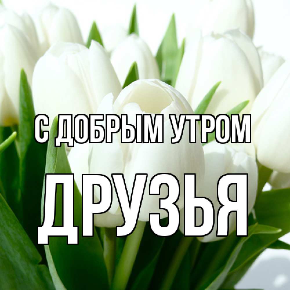 Открытка  с именем. друзья, С добрым утром  