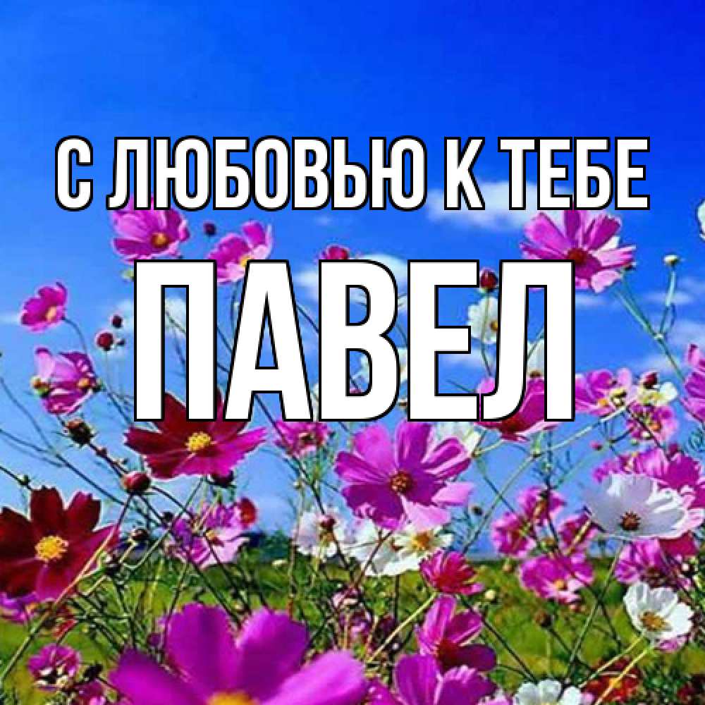 Открытка  с именем. Павел, С любовью к тебе  