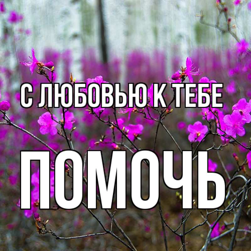 Картинка С любовью к тебе, Помочь