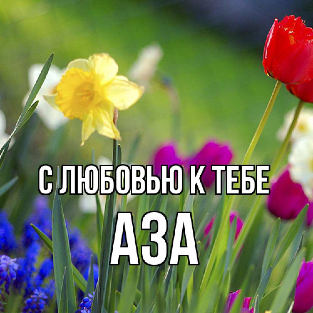 Открытка  с именем. Аза, С любовью к тебе  