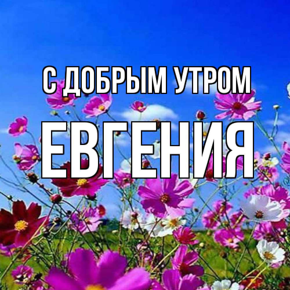 Открытка  с именем. Евгения, С добрым утром  